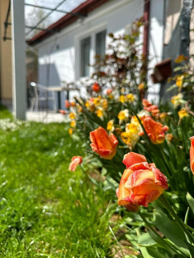 Apartmani Emily & Jully Niksic Exterior photo